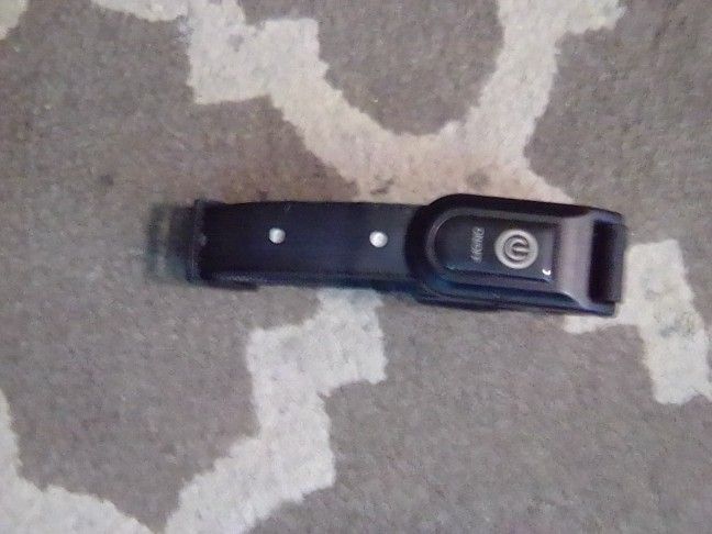 Dog Collar