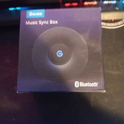 Govee Music Sync Box 