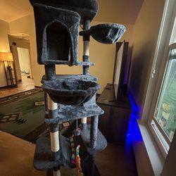 Cat Tree