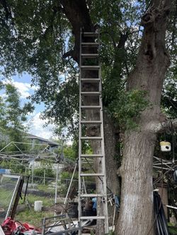16 Feet Extended Ladder