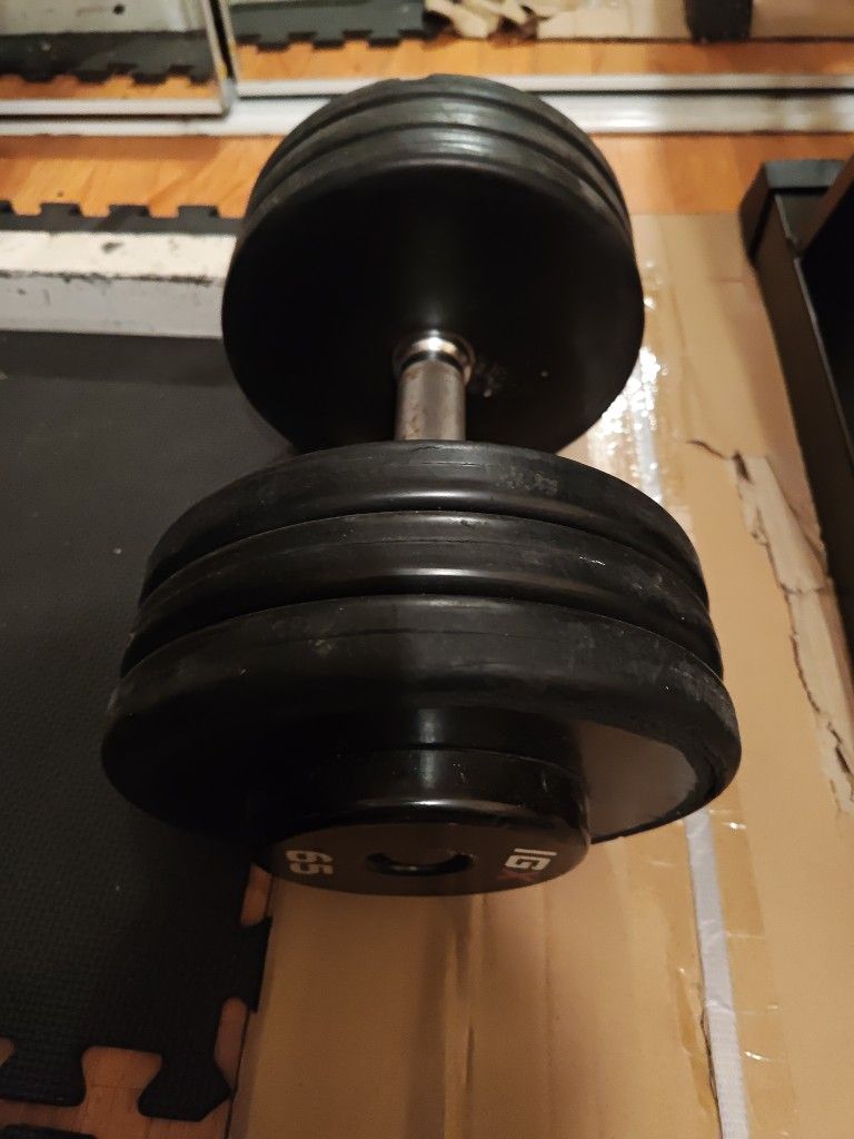 Single IGX 65lb Dumbbell