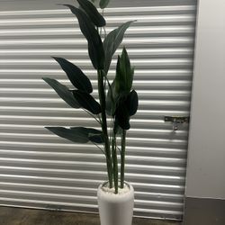 Decorative Tall Plant in White Pot – Excellent Condition!