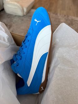 Size 10 pumas