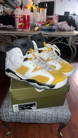 Jordan 6s