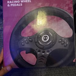 Racing Wheel & Pedals