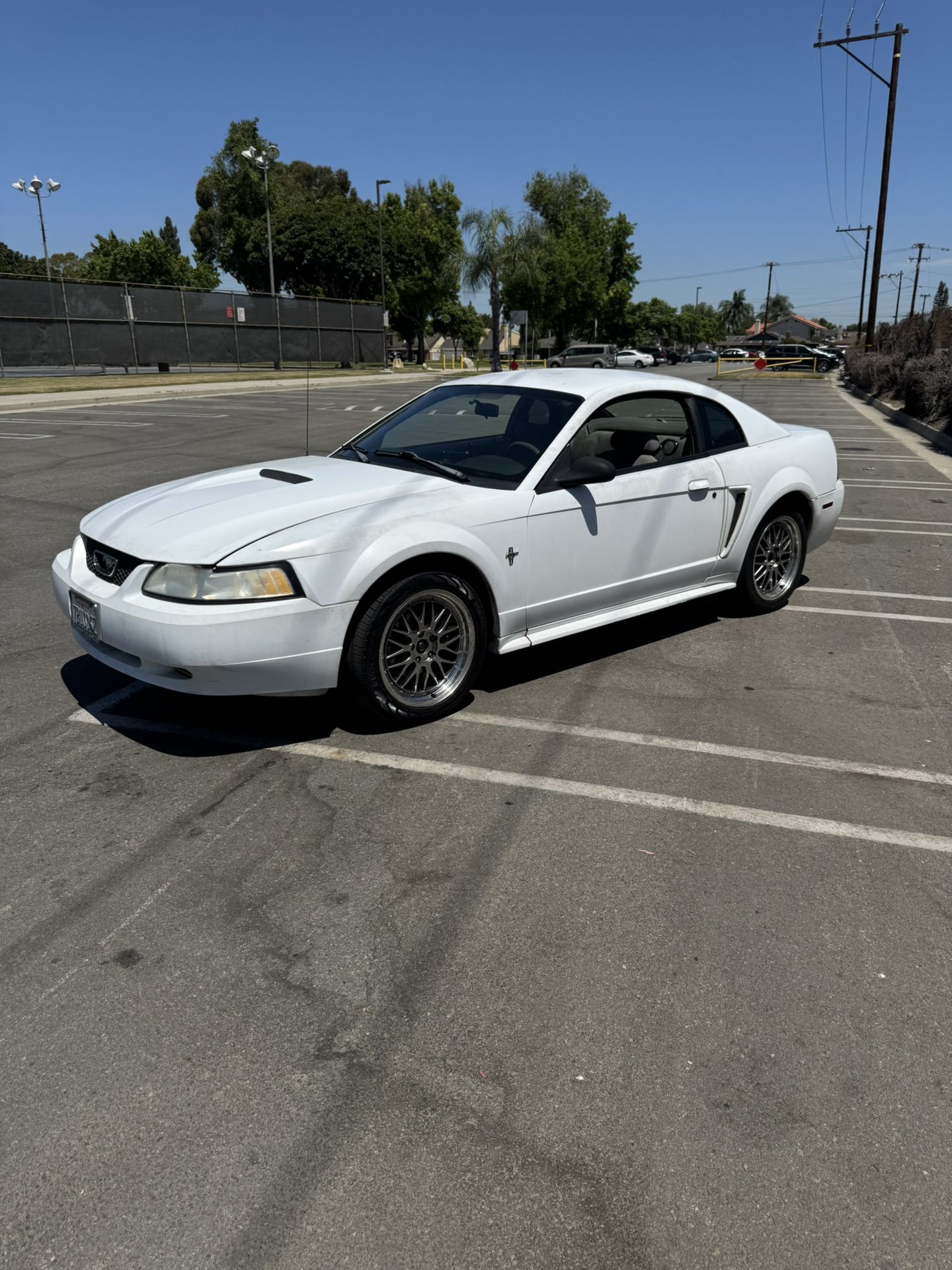2000 Ford Mustang