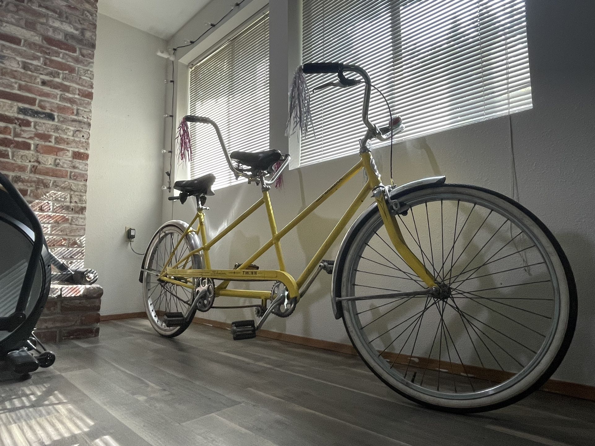 Schwinn Twinn Vintage Tandem Bicycle