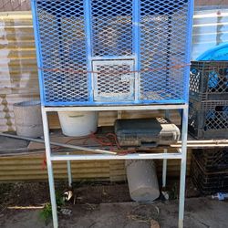 Bird Cage 