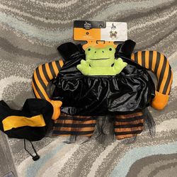Halloween Witch Dog Costume