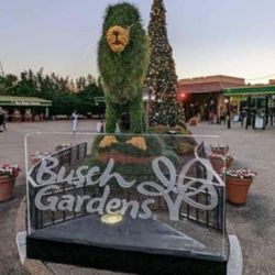 Busch Gardens, Seaworld Day Passes Available Thumbnail