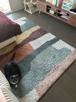 Asymmetrical Living Room Rug