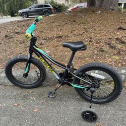 Specialized Riprock 16 Kids bike with training wheels  Wheel size 16inch  Used in great shape 