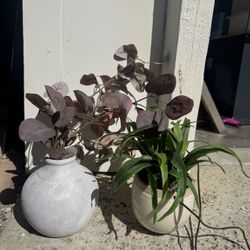 Faux Plants 