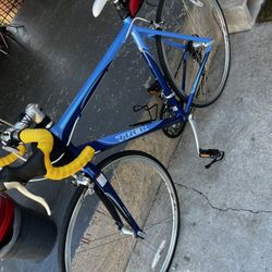 Trek 