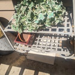2 Bronze Gold Planters Two Bronze Gold Plant