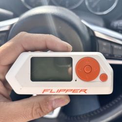 Flipper Zero With WiFi Dev Board