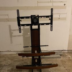 TV Stand/Mount