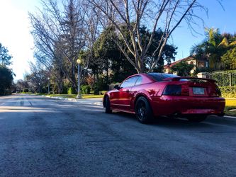 2004 Mustang GT 40 Year Anniversary