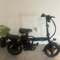 Bicicleta Eléctrica 