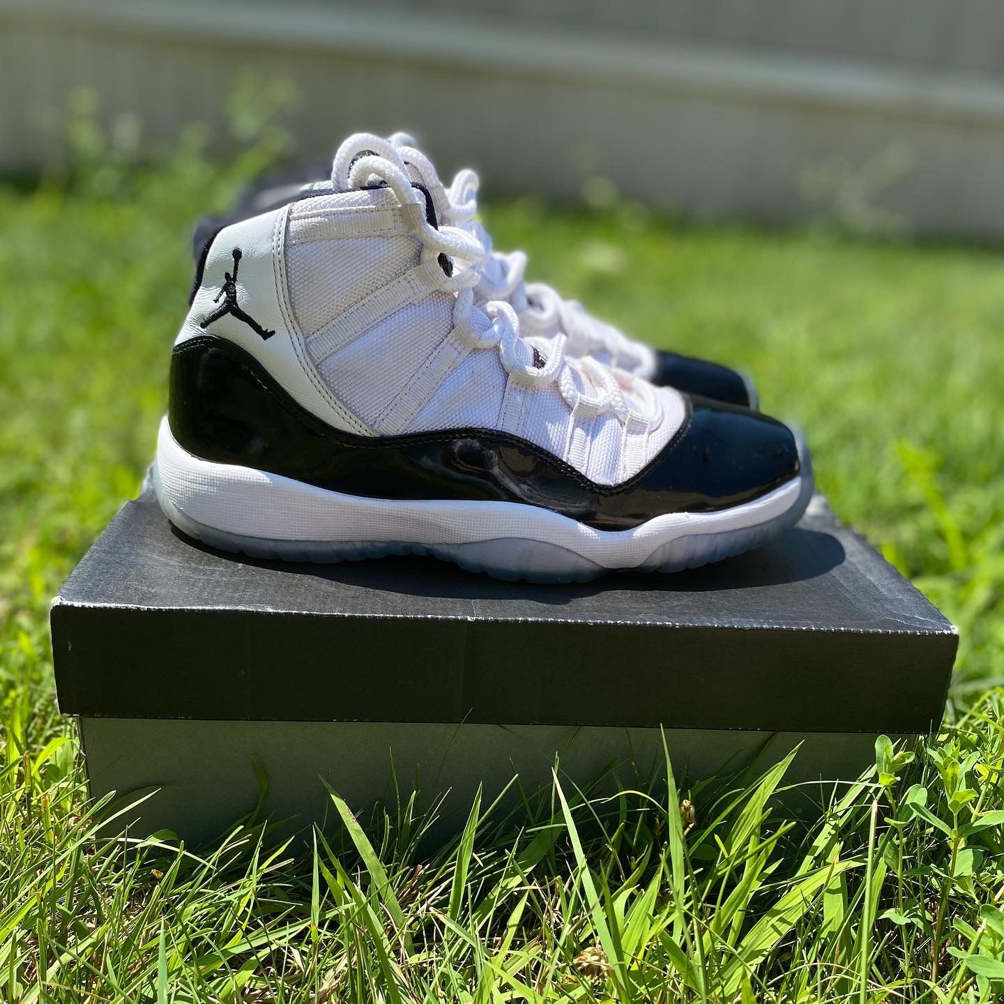 jordan 11 concord