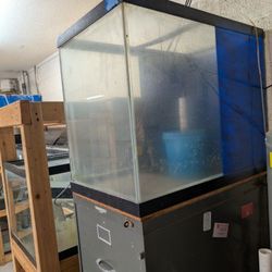 Fish Tanks 50 Cents Per Gallon