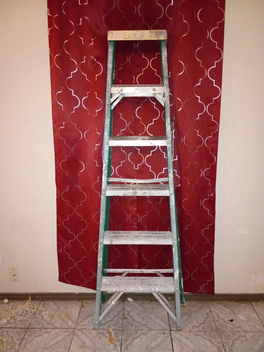 6 Foot Ladder