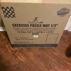 2 Exercise/Gym Puzzle Mat (X2)