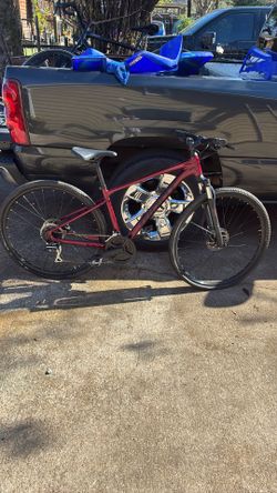 Giant Roam S