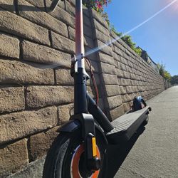 Electric Scooters