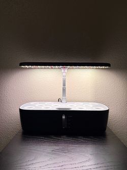 Hydroponic Indoor Garden