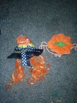 2 pet Halloween hats