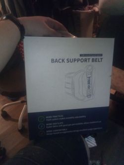 Back support belt