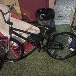 24” se cruiser
