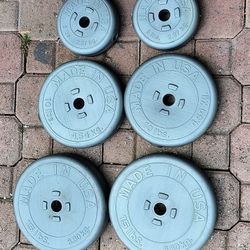 60 Lbs Weights 1"