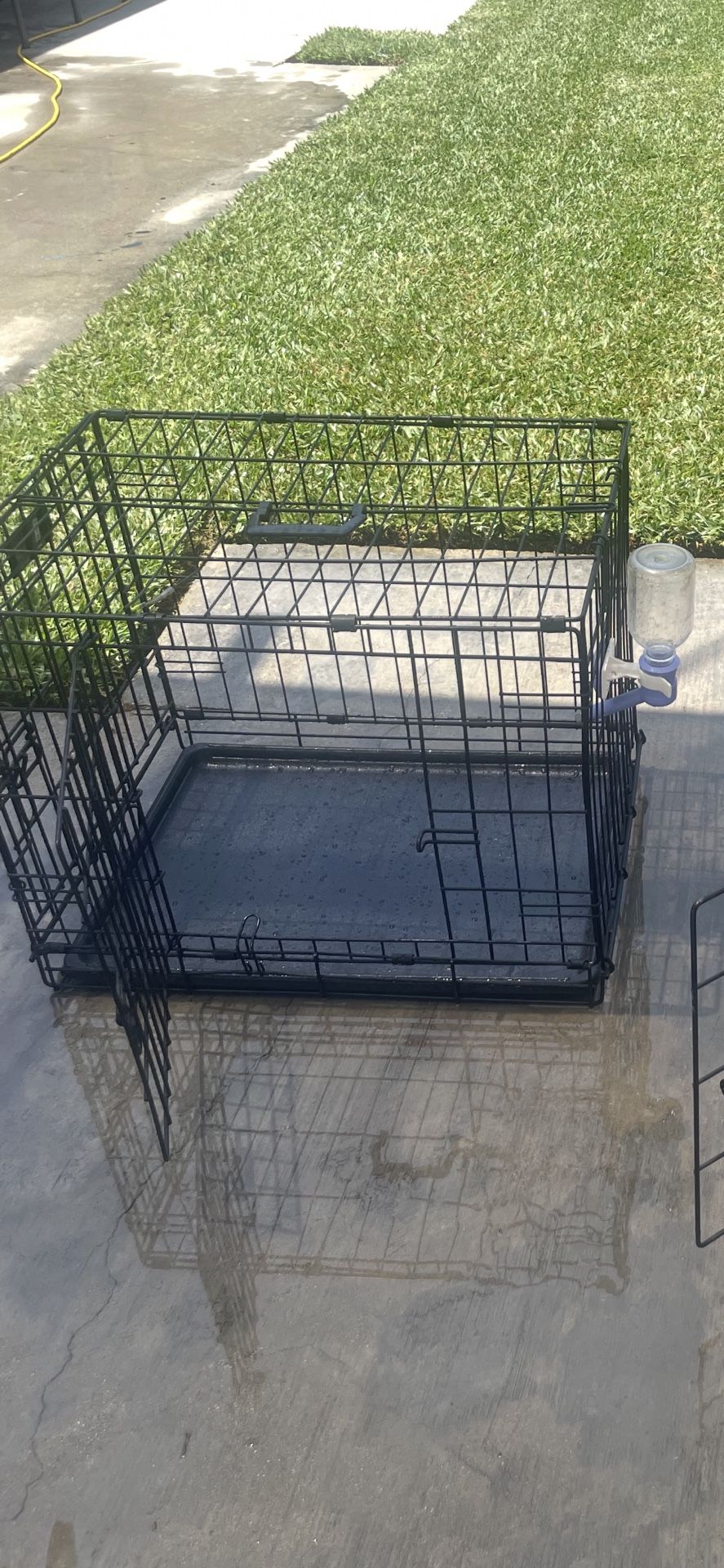 Dog Crate