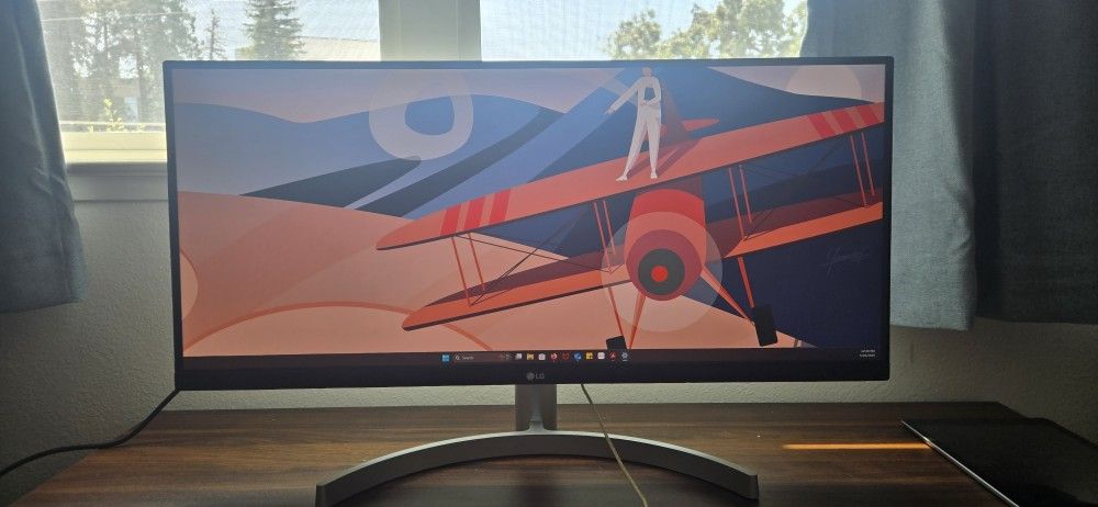 LG Ultrawide Monitor