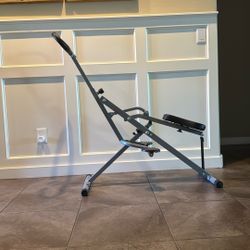 Sunny Health and Fitness Row-n-Ride Squat Resistance, Bike Machine