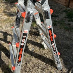 Little Giant Ladder