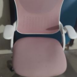 Computer Chair