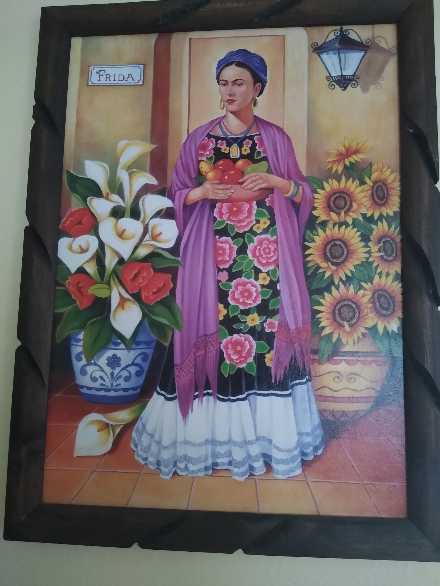 Frida frame