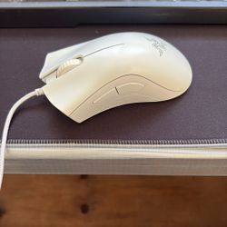 Razer Deathhadder Essential Mouse 