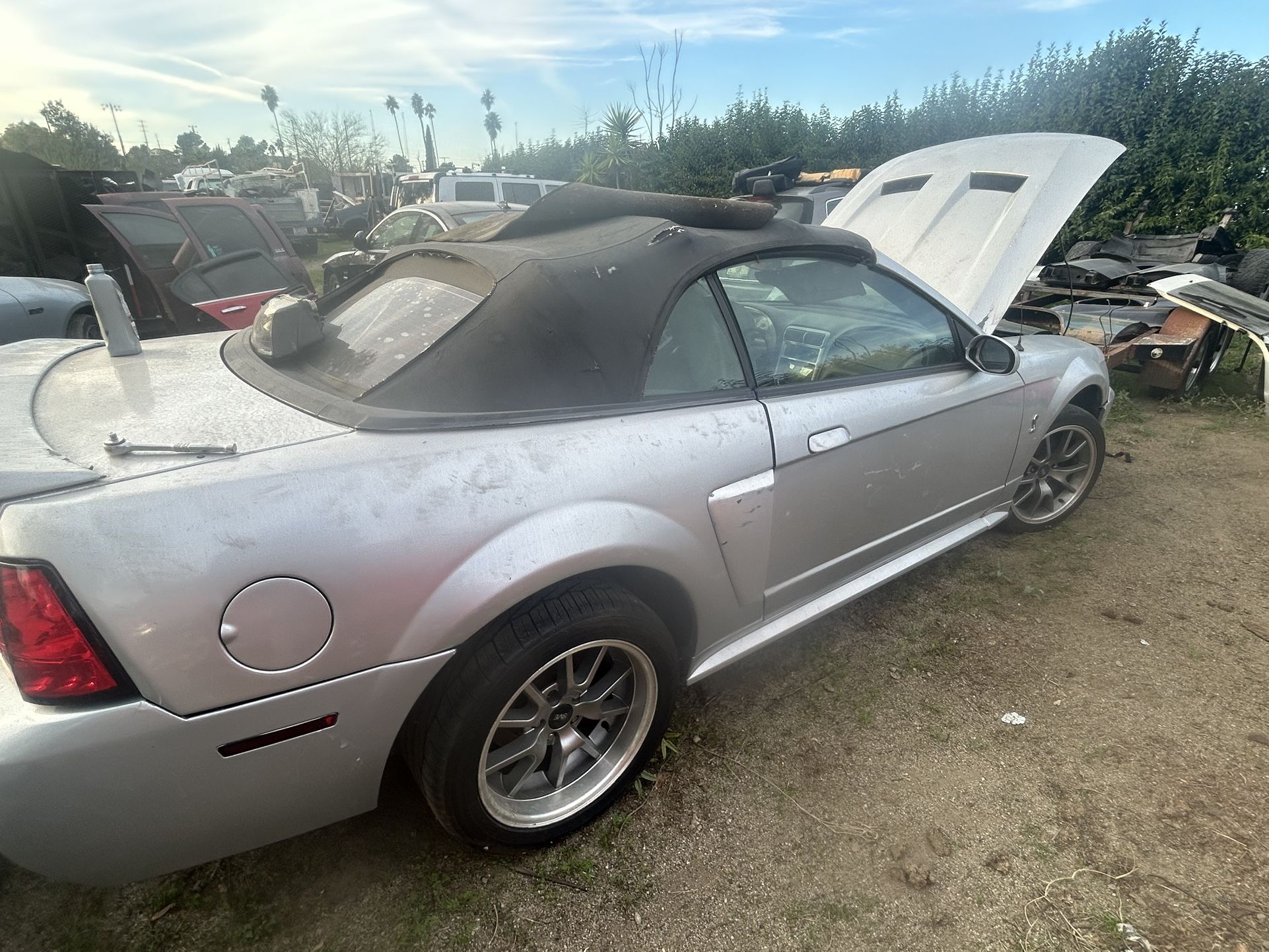 2001 Ford Mustang Cobra Part Out