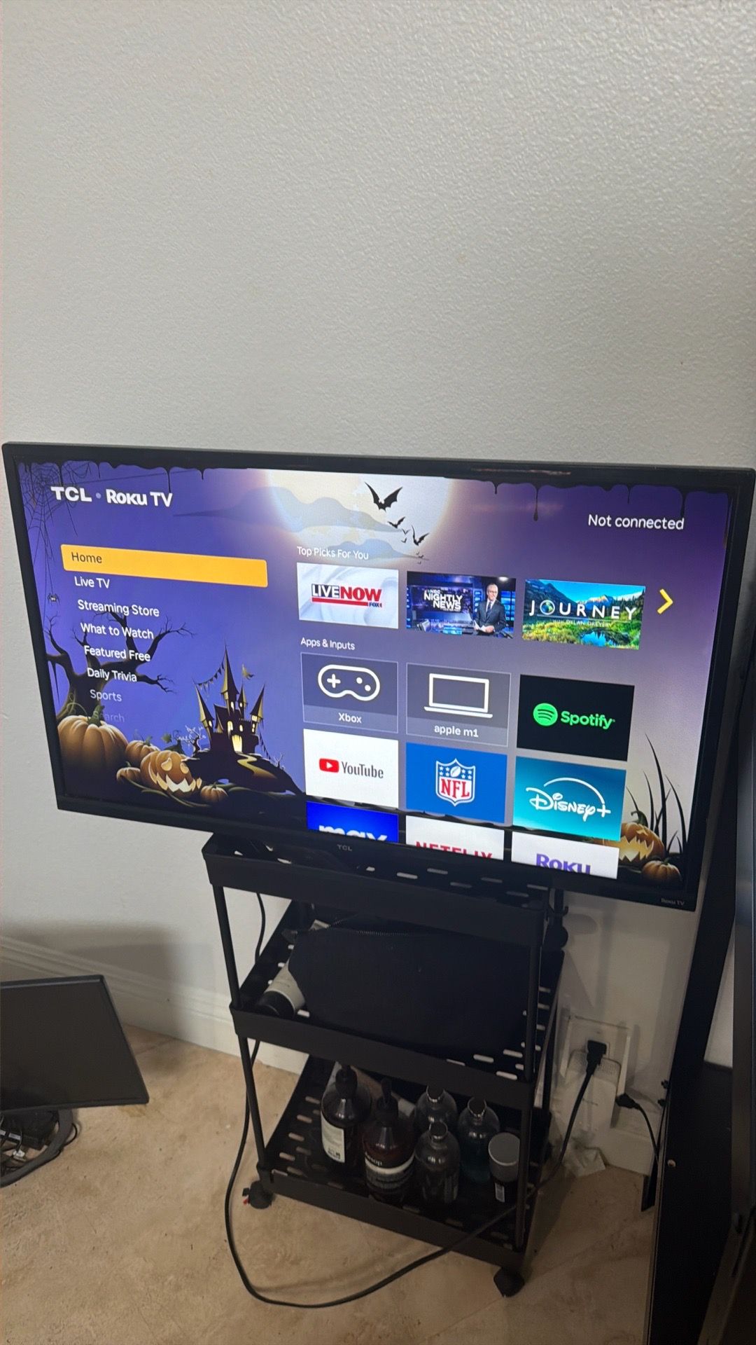 TCL 32in Smart TV