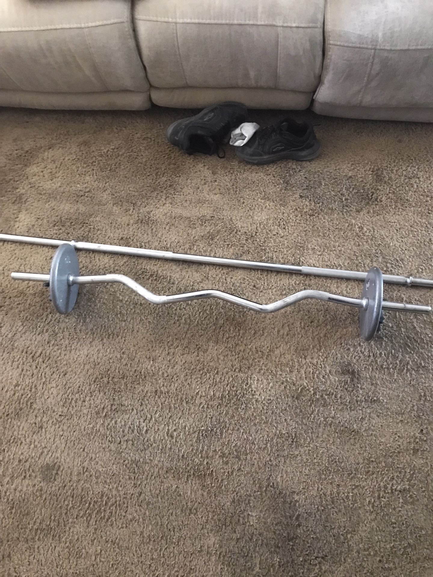Curl Bar And Straight Bar With Ten Pound Plates