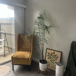 Yellow Chair 