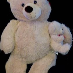 Large Teddy 