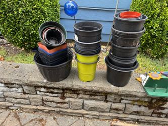 Large Lot of Plastic Nusery Planter Pots
