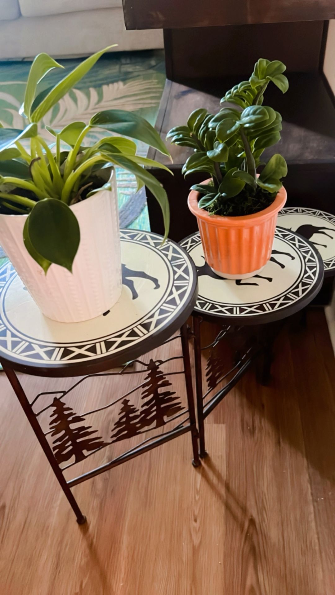 Plant Table Perfect Condition