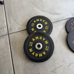 35 Olympic Plate Weights 