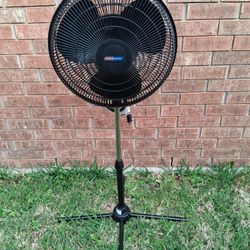 Electric Fan/Abanico Eléctrico 